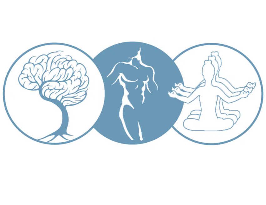 Now Health Foundations of Health & Wellness Wellness